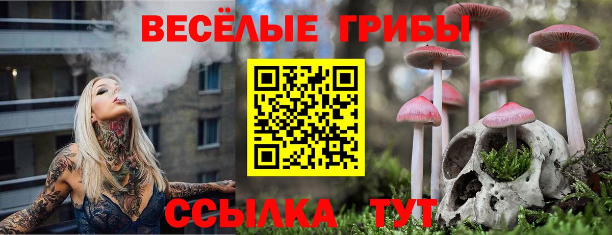 Галлюциногенные грибы мухоморы  Псилоцибиновые грибы прущие грибы  Лыткарино  Вход с VPN 